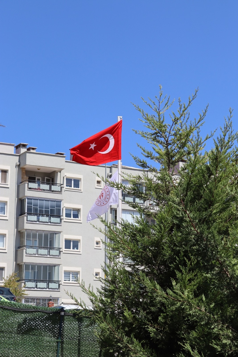 Bahçe Manzarası