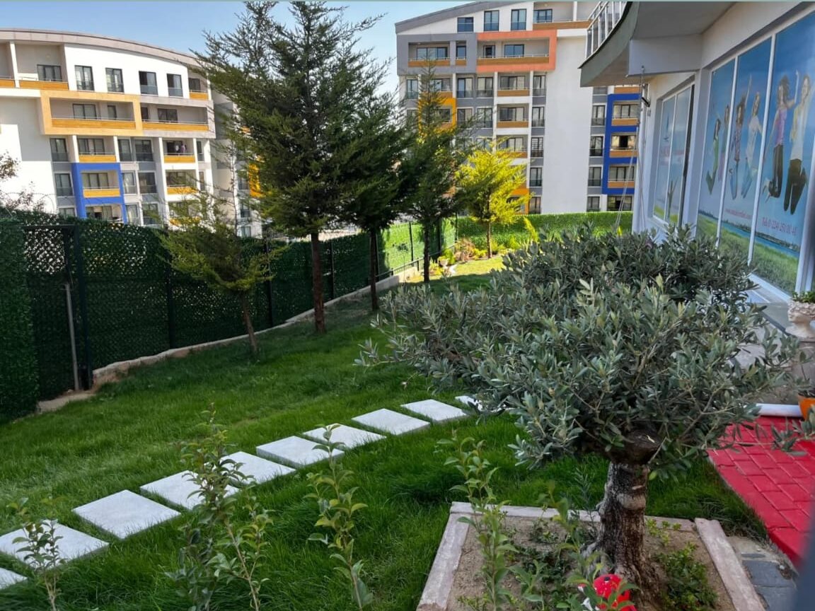Zeytin Ağacı Bahçesi